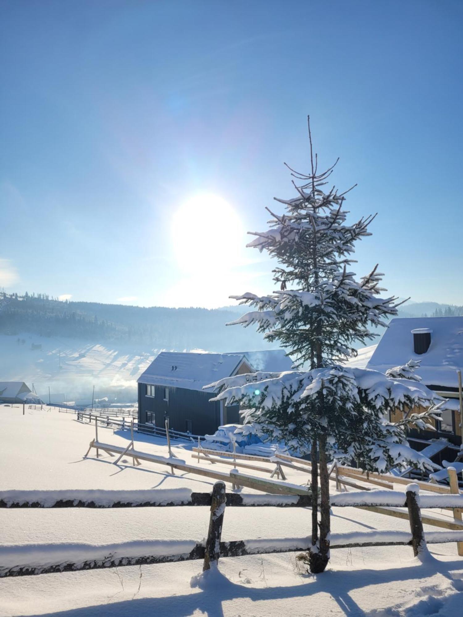Шале Green Land Bukovel Exterior photo